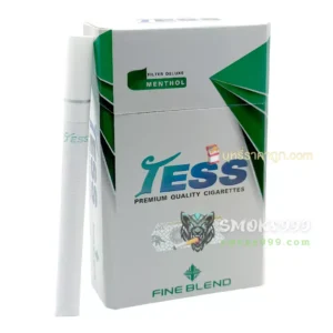 Tess เขียว (ซองแข็ง) เทสส์