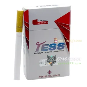 Tess แดง (ซองแข็ง) เทสส์