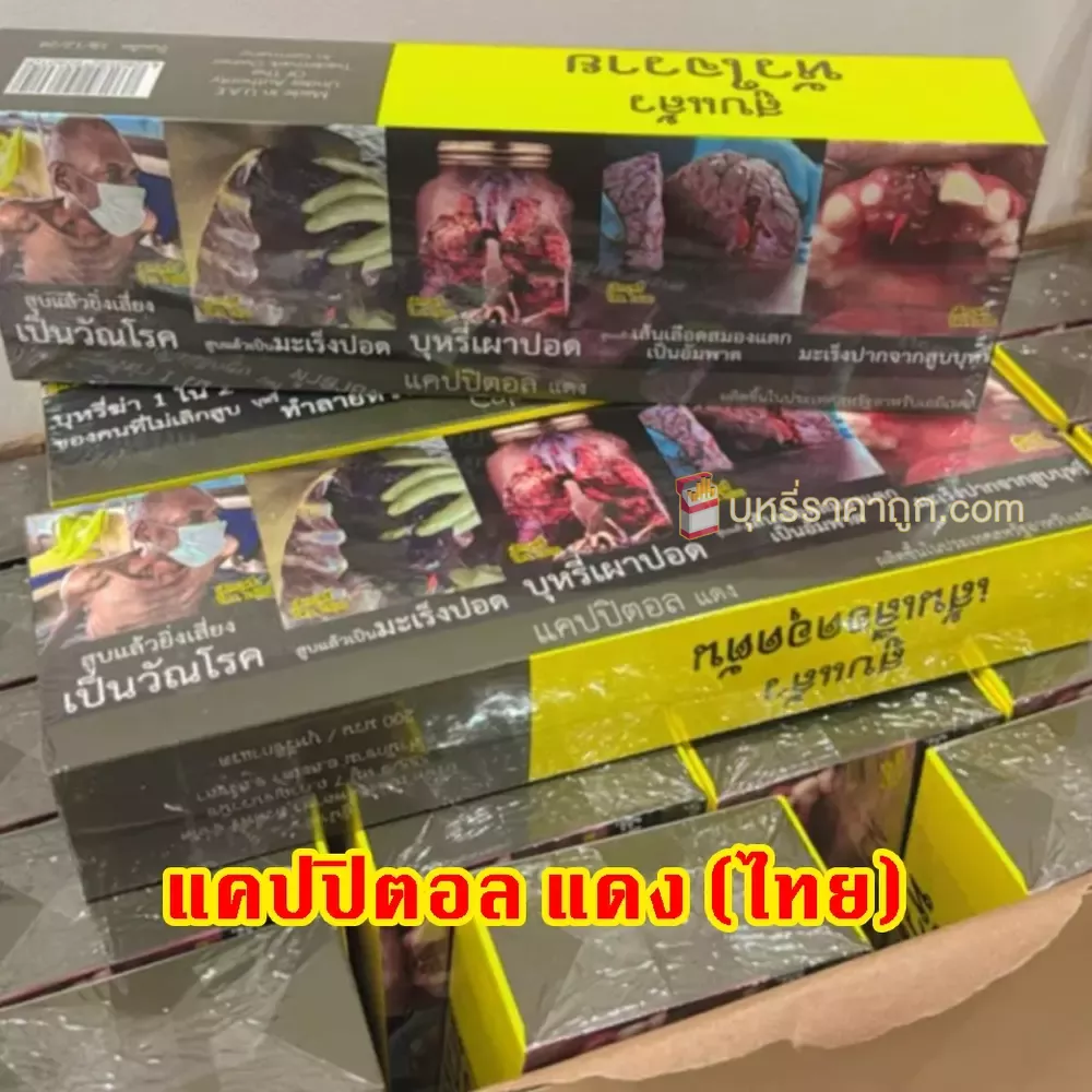 Capital แคปปิตอล แดง (ไทย) ซองแข็ง